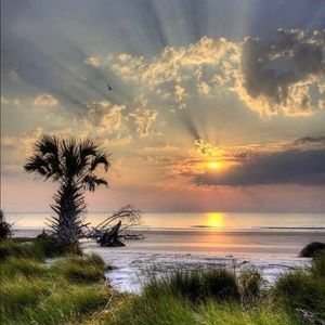 Meet your Posher, Laniyai